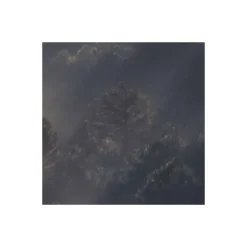 Komar  Vlies Fototapete Rays 300x250 cm