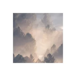 Komar  Vlies Fototapete Rays 300x250 cm