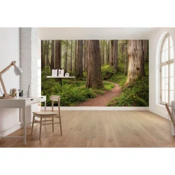 Komar  Vlies Fototapete Redwood Trail 450x280 cm