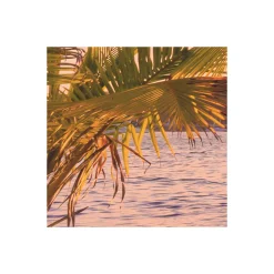 Komar  Vlies Fototapete Reaching the Sun 400x250 cm