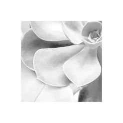 Komar  Vlies Fototapete Shades Black and White 400x250 cm