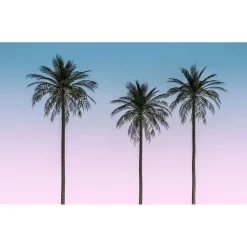 Komar  Vlies Fototapete Skyhigh 400x250 cm