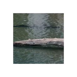 Komar  Vlies Fototapete Spirit Island 450x280 cm