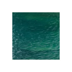 Komar  Vlies Fototapete Spirit Island 450x280 cm