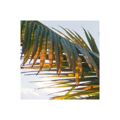 Komar  Vlies Fototapete Strandgeheimnis 450x280 cm