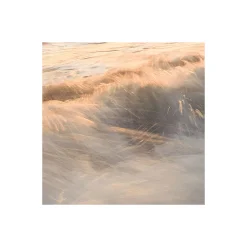 Komar  Vlies Fototapete Strandgeheimnis 450x280 cm