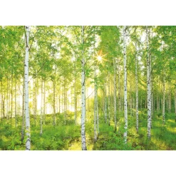 Komar  Vlies Fototapete Sunday 368x248 cm