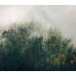 Komar  Vlies Fototapete Tales of the Carpthians 300x250 cm