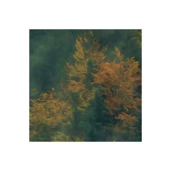 Komar  Vlies Fototapete Tales of the Carpathians 300x200 cm