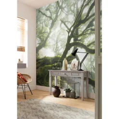 Komar  Vlies Fototapete The Forgotten Forest 400x250 cm
