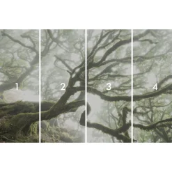 Komar  Vlies Fototapete The Forgotten Forest 400x250 cm