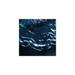 Komar  Vlies Fototapete The Coronation 200x250 cm