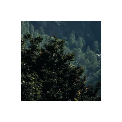 Komar  Vlies Fototapete The Summit 300x200 cm