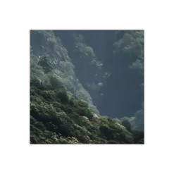 Komar  Vlies Fototapete The Summit 300x250 cm