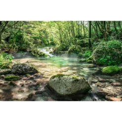 Komar  Vlies Fototapete Tranquil Pool 400x250 cm