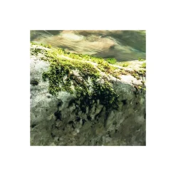 Komar  Vlies Fototapete Tranquil Pool 400x250 cm