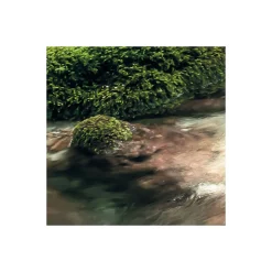 Komar  Vlies Fototapete Tranquil Pool 400x250 cm