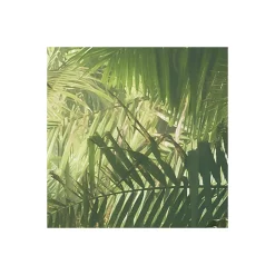 Komar  Vlies Fototapete Tropenwelten 500x250 cm