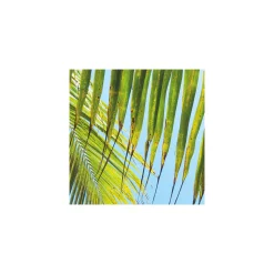 Komar  Vlies Fototapete Under The Palmtree 200x250 cm