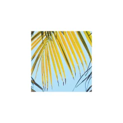 Komar  Vlies Fototapete Under The Palmtree 200x250 cm