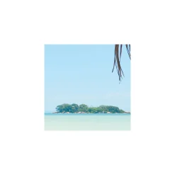 Komar  Vlies Fototapete Under The Palmtree 200x250 cm