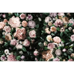 Komar  Vlies Fototapete Victoria Black 400x250 cm