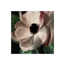 Komar  Vlies Fototapete Victoria Black 400x250 cm