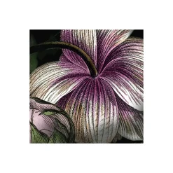 Komar  Vlies Fototapete Victoria Black 400x250 cm