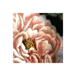 Komar  Vlies Fototapete Victoria Black 400x250 cm