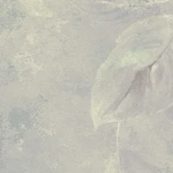 Komar  Vlies Fototapete Water Lily 200x280 cm