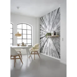 Komar Vlies Fototapete Weiss-Blau 450x280 cm