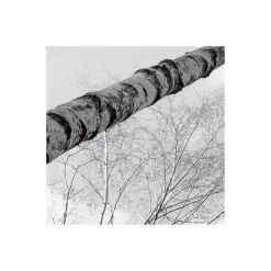 Komar  Vlies Fototapete Weiss-Blau 450x280 cm