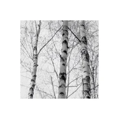 Komar  Vlies Fototapete Weiss-Blau 450x280 cm