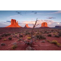 Komar  Vlies Fototapete Wild West Heroes 450x280 cm