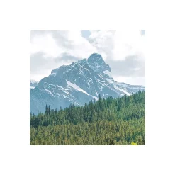 Komar  Vlies Fototapete Wild Canada 450x280 cm