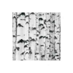 Komar  Vlies Fototapete Woods 400x270 cm