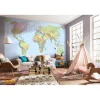 Komar  Vlies Fototapete World Map 368x248 cm