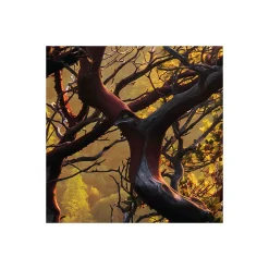 Komar  Vlies Fototapete Yosemites Secret 450x280 cm