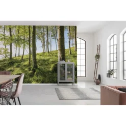 Komar  Vlies Fototapete Zauberhaftes Buchenspektakel 450x280 cm