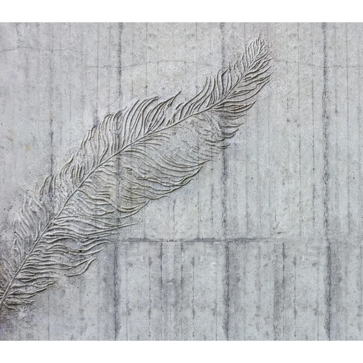 Komar Vlies-Fototapete Betonfeder 3-teilig 300 x 250 cm