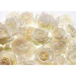 Komar Vlies-Fototapete Shalimar 4-teilig 368 x 248 cm