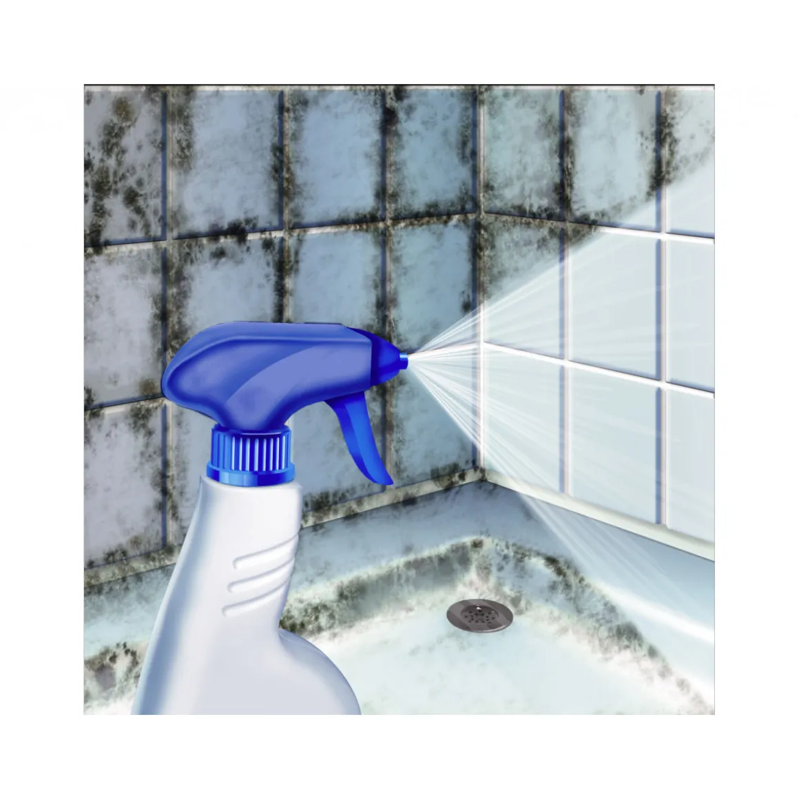 MEM Schimmelvernichter 500ml