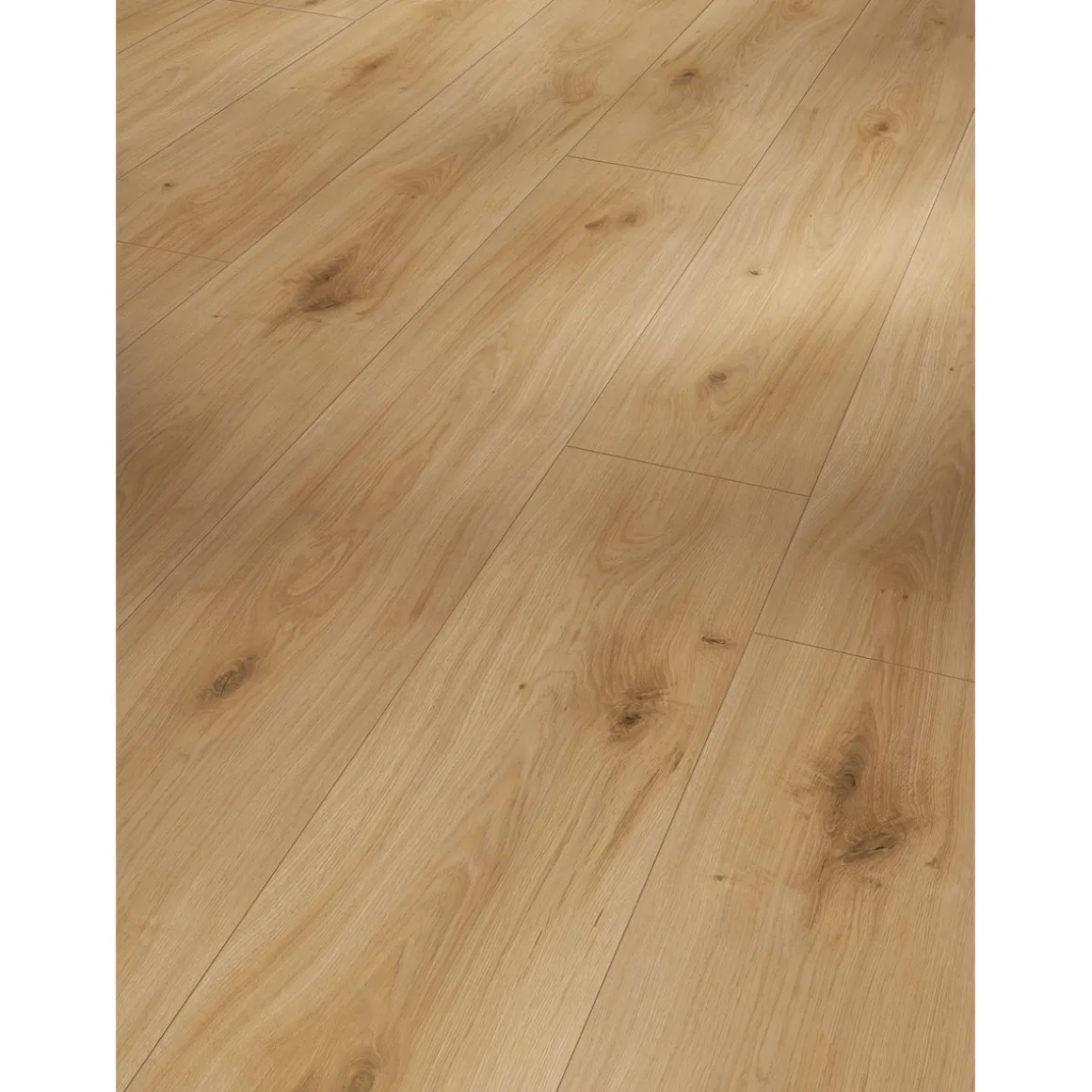 Parador Laminatboden „Basic 600“, Eiche Horizont Natur, Seidenmatte Struktur, 24,3x128,5 cm