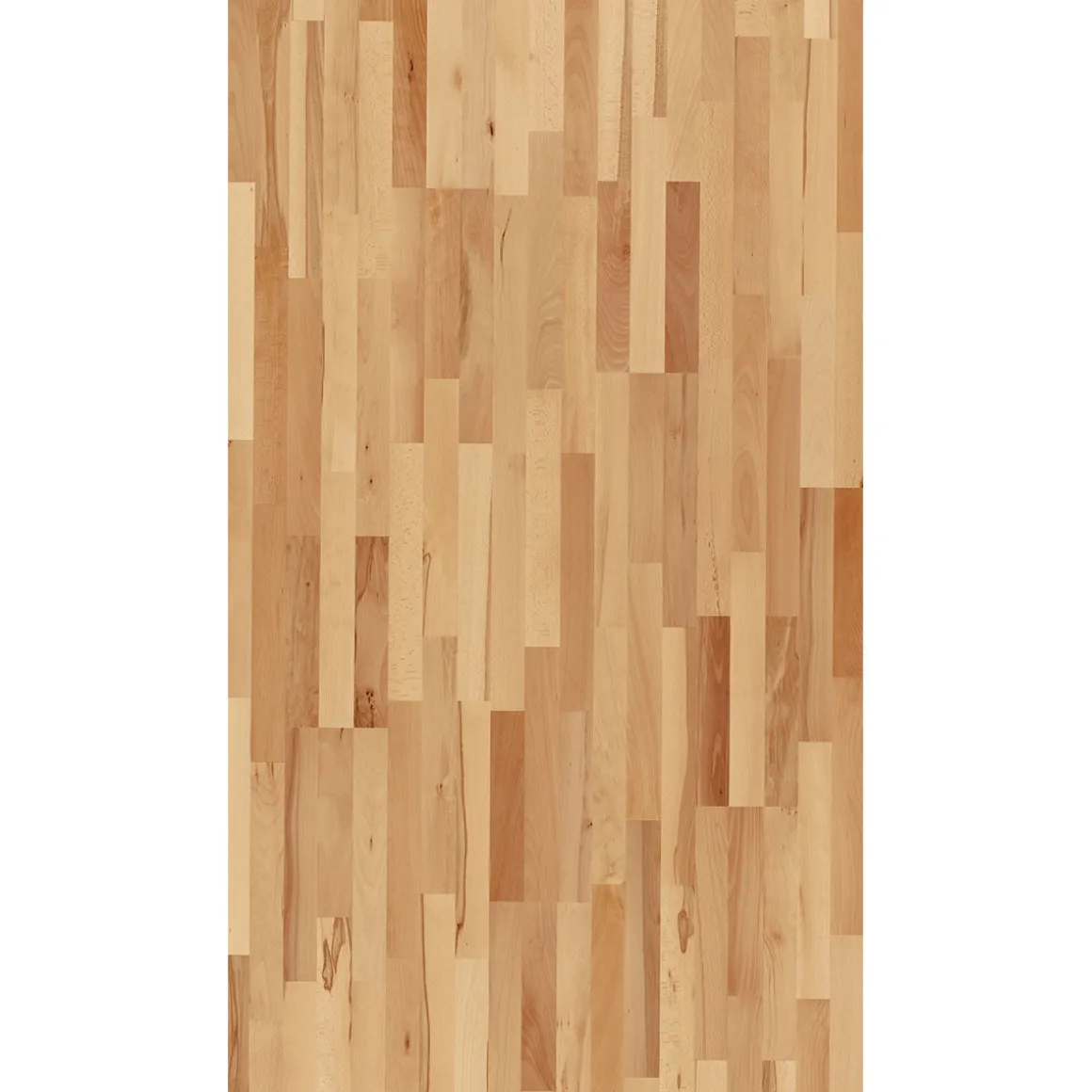 Parador Parkett „3060“, Living Buche, matt lackiert, 18,5x25 cm