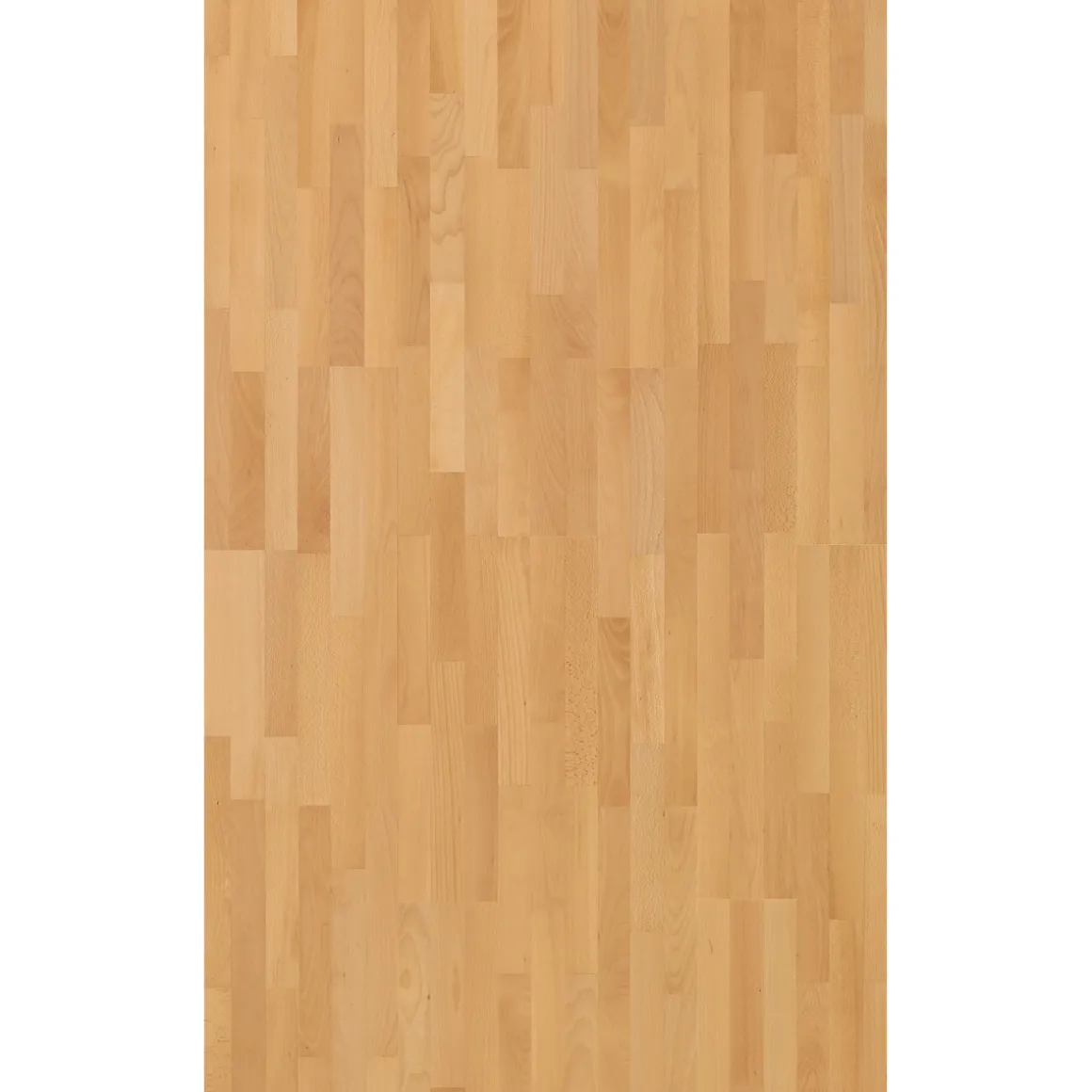 Parador Parkett 3060 Natur Buche matt lackiert 18,5 x 25 cm