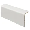 Rohrverkleidungsleiste weiss 45 x 110 x 2000 mm