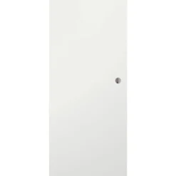 Schiebetür glatt 94,4 cm