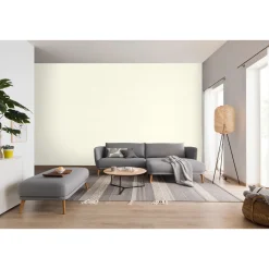 Schöner Wohnen Farbe  Wandfarbe Glimmerfarbe crystal white 2,5 Liter