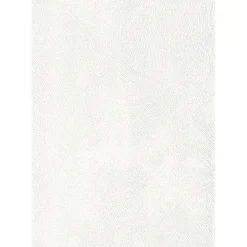 Specht Ambiente Paneel 10mm weiß Struktur