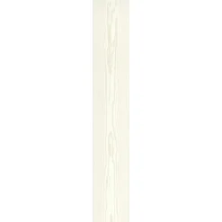 Specht Ambiente Paneel 10mm Pinie weiß